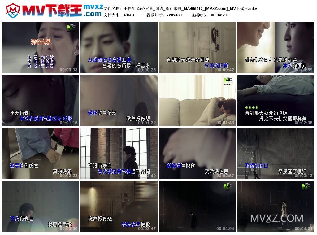 王梓旭-痴心太累_国语_流行歌曲_MA405112